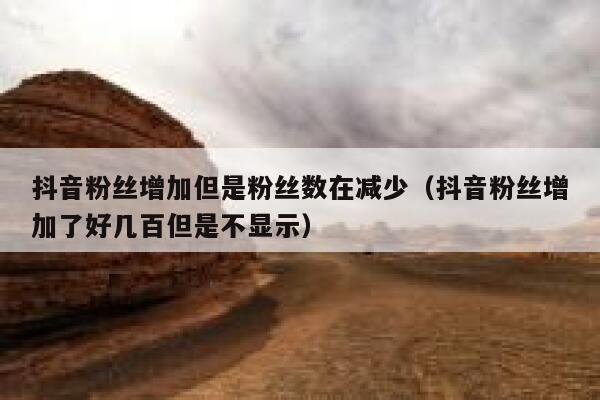 抖音粉丝增加但是粉丝数在减少（抖音粉丝增加了好几百但是不显示） 第1张
