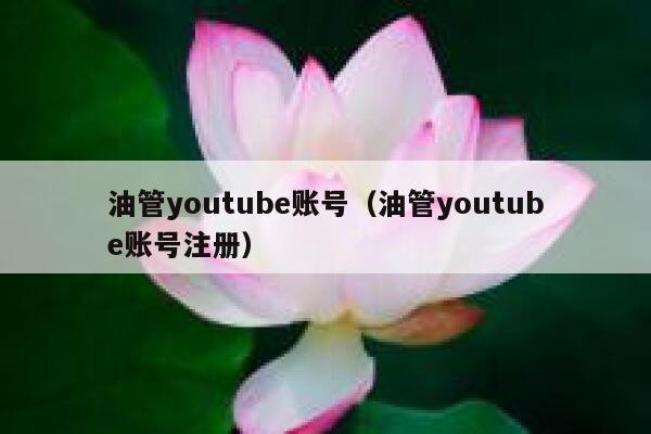 油管youtube账号（油管youtube账号注册） 第1张