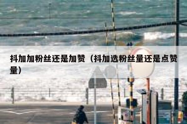 抖加加粉丝还是加赞（抖加选粉丝量还是点赞量） 第1张