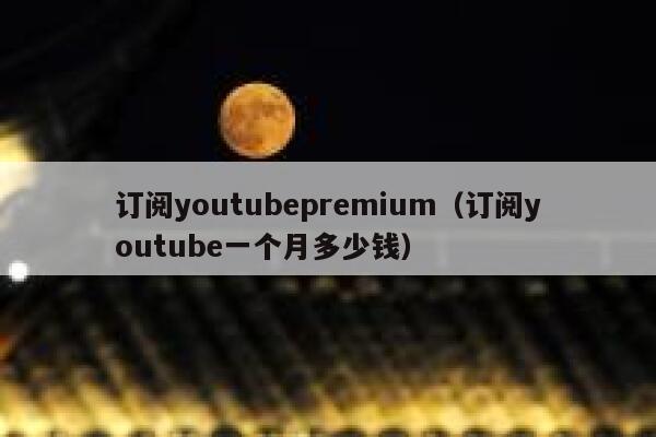 订阅youtubepremium（订阅youtube一个月多少钱） 第1张