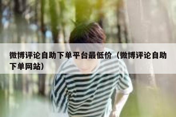 微博评论自助下单平台最低价（微博评论自助下单网站） 第1张