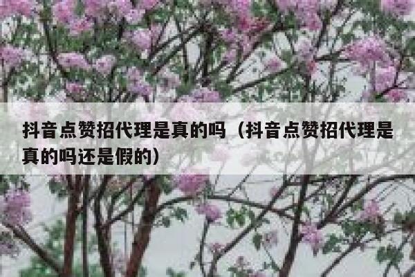 抖音点赞招代理是真的吗(抖音点赞招代理是真的吗还是假的) 第1张 抖音点赞招代理是真的吗(抖音点赞招代理是真的吗还是假的) 第1张