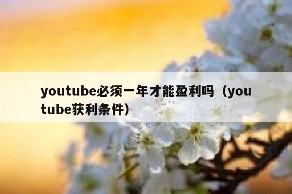 youtube必须一年才能盈利吗(youtube获利条件) 第1张 youtube必须一年才能盈利吗(youtube获利条件) 第1张