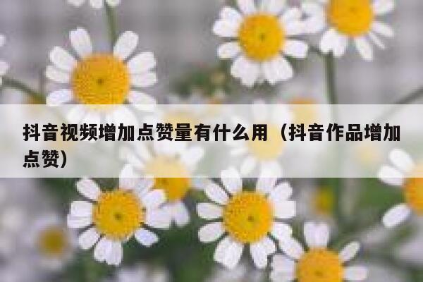 抖音视频增加点赞量有什么用(抖音作品增加点赞) 第1张 抖音视频增加点赞量有什么用(抖音作品增加点赞) 第1张