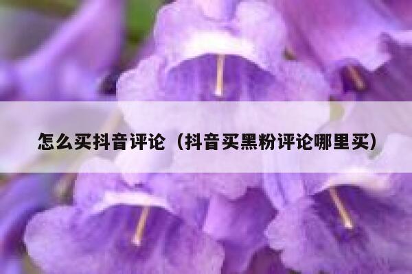 怎么买抖音评论（抖音买黑粉评论哪里买） 第1张