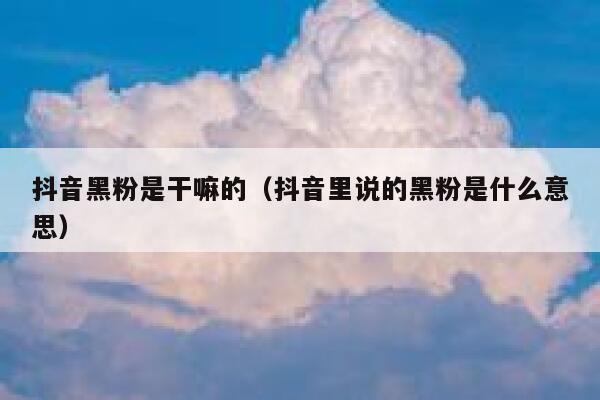 抖音黑粉是干嘛的（抖音里说的黑粉是什么意思） 第1张