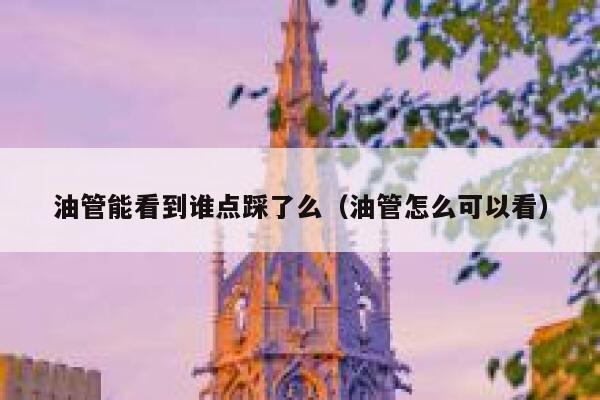 油管能看到谁点踩了么（油管怎么可以看） 第1张
