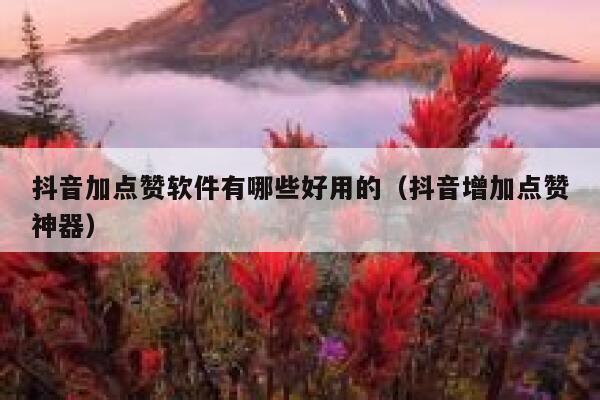 抖音加点赞软件有哪些好用的(抖音增加点赞神器) 第1张 抖音加点赞软件有哪些好用的(抖音增加点赞神器) 第1张