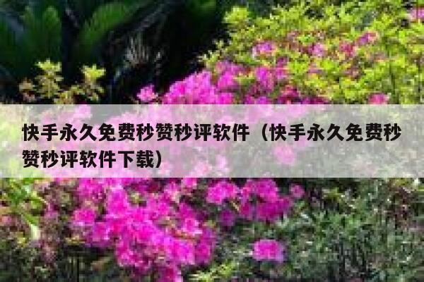 快手永久免费秒赞秒评软件(快手永久免费秒赞秒评软件下载) 第1张 快手永久免费秒赞秒评软件(快手永久免费秒赞秒评软件下载) 第1张