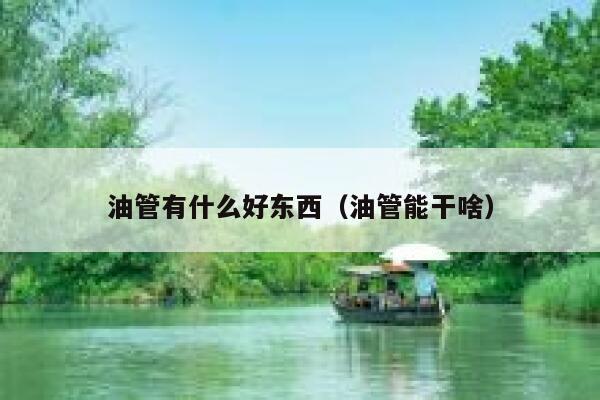 油管有什么好东西（油管能干啥） 第1张
