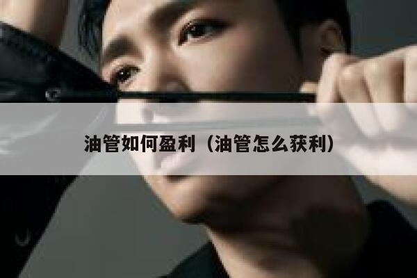 油管如何盈利（油管怎么获利） 第1张