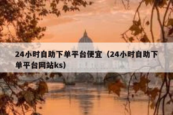 24小时自助下单平台便宜（24小时自助下单平台网站ks） 第1张