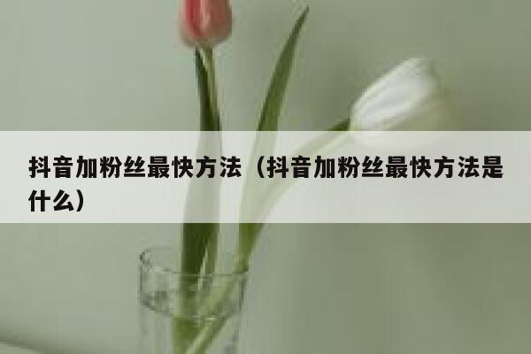 抖音加粉丝最快方法（抖音加粉丝最快方法是什么） 第1张