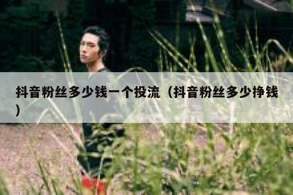 抖音粉丝多少钱一个投流（抖音粉丝多少挣钱） 第1张