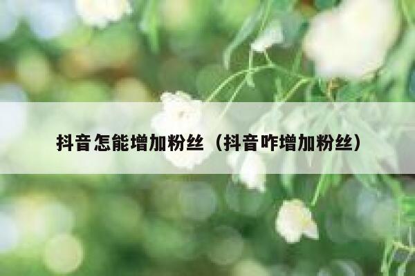 抖音怎能增加粉丝(抖音咋增加粉丝) 第1张 抖音怎能增加粉丝(抖音咋增加粉丝) 第1张