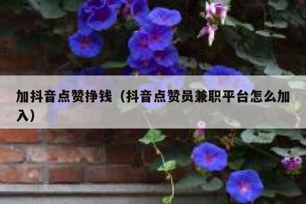 加抖音点赞挣钱（抖音点赞员兼职平台怎么加入） 第1张
