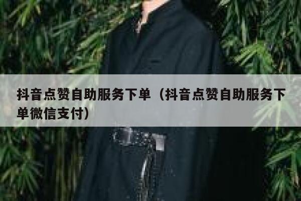 抖音点赞自助服务下单（抖音点赞自助服务下单微信支付） 第1张