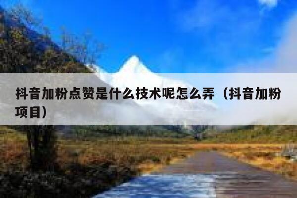 抖音加粉点赞是什么技术呢怎么弄(抖音加粉项目) 第1张 抖音加粉点赞是什么技术呢怎么弄(抖音加粉项目) 第1张