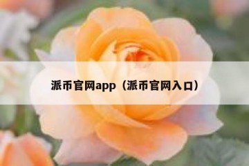 派币官网app（派币官网入口）