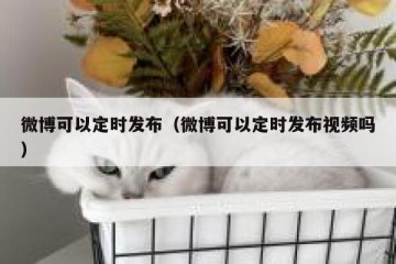 微博可以定时发布（微博可以定时发布视频吗）