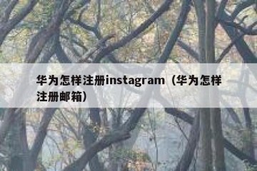 华为怎样注册instagram（华为怎样注册邮箱）