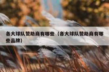 各大球队赞助商有哪些（各大球队赞助商有哪些品牌）