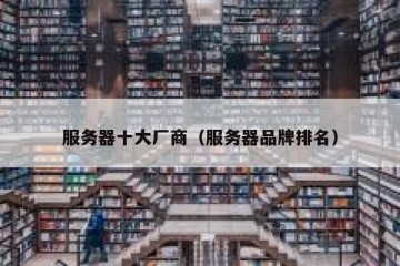 服务器十大厂商（服务器品牌排名）