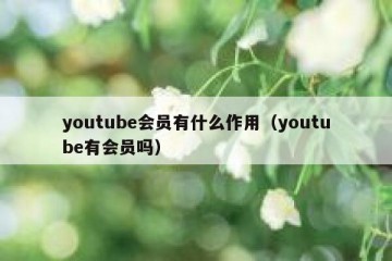 youtube会员有什么作用（youtube有会员吗）