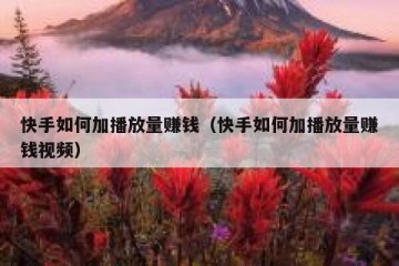 快手如何加播放量赚钱（快手如何加播放量赚钱视频）