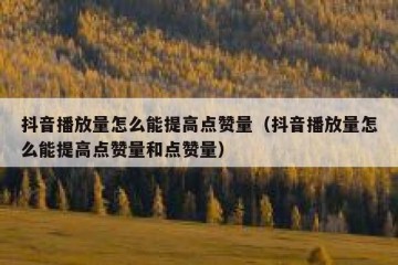 抖音播放量怎么能提高点赞量（抖音播放量怎么能提高点赞量和点赞量）