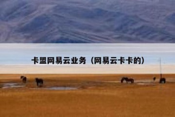 卡盟网易云业务（网易云卡卡的）