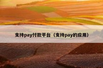 支持pay付款平台（支持pay的应用）