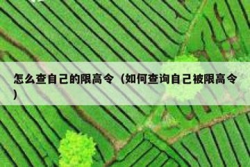 怎么查自己的限高令（如何查询自己被限高令）