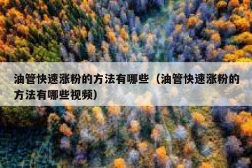 油管快速涨粉的方法有哪些（油管快速涨粉的方法有哪些视频）