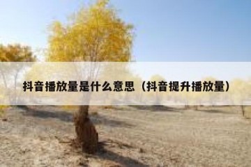 抖音播放量是什么意思（抖音提升播放量）