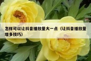 怎样可以让抖音播放量大一点（让抖音播放量增多技巧）