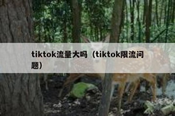 tiktok流量大吗（tiktok限流问题）