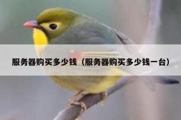 服务器购买多少钱（服务器购买多少钱一台）