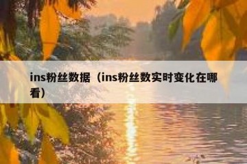 ins粉丝数据（ins粉丝数实时变化在哪看）