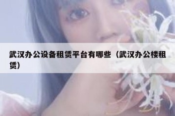 武汉办公设备租赁平台有哪些（武汉办公楼租赁）
