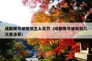 成都限号被拍到怎么处罚（成都限号被拍到几次算违章）