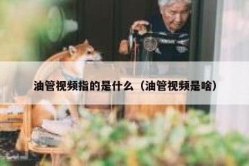 油管视频指的是什么（油管视频是啥）