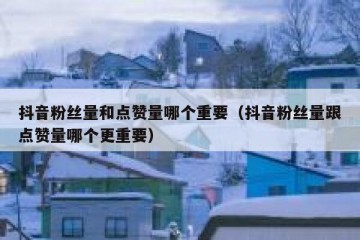 抖音粉丝量和点赞量哪个重要（抖音粉丝量跟点赞量哪个更重要）