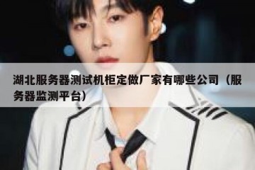 湖北服务器测试机柜定做厂家有哪些公司（服务器监测平台）