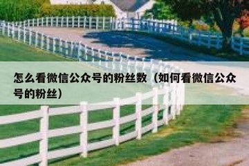 怎么看微信公众号的粉丝数（如何看微信公众号的粉丝）