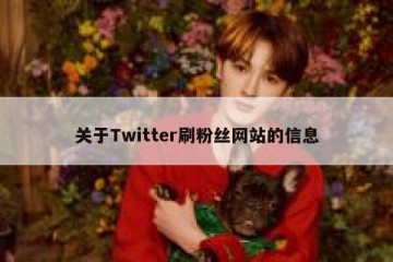 关于Twitter刷粉丝网站的信息