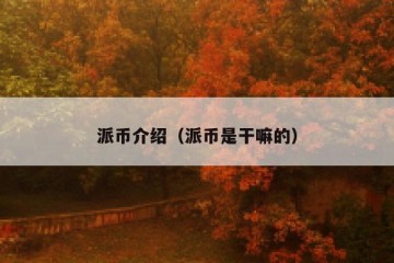 派币介绍（派币是干嘛的）