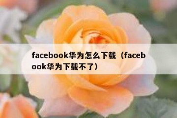 facebook华为怎么下载（facebook华为下载不了）