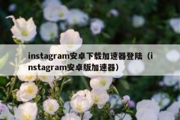 instagram安卓下载加速器登陆（instagram安卓版加速器）