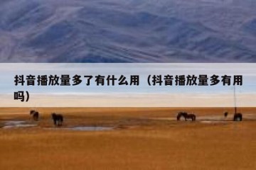 抖音播放量多了有什么用（抖音播放量多有用吗）